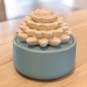 Ceramic Succulent Oil Diffuser Decor